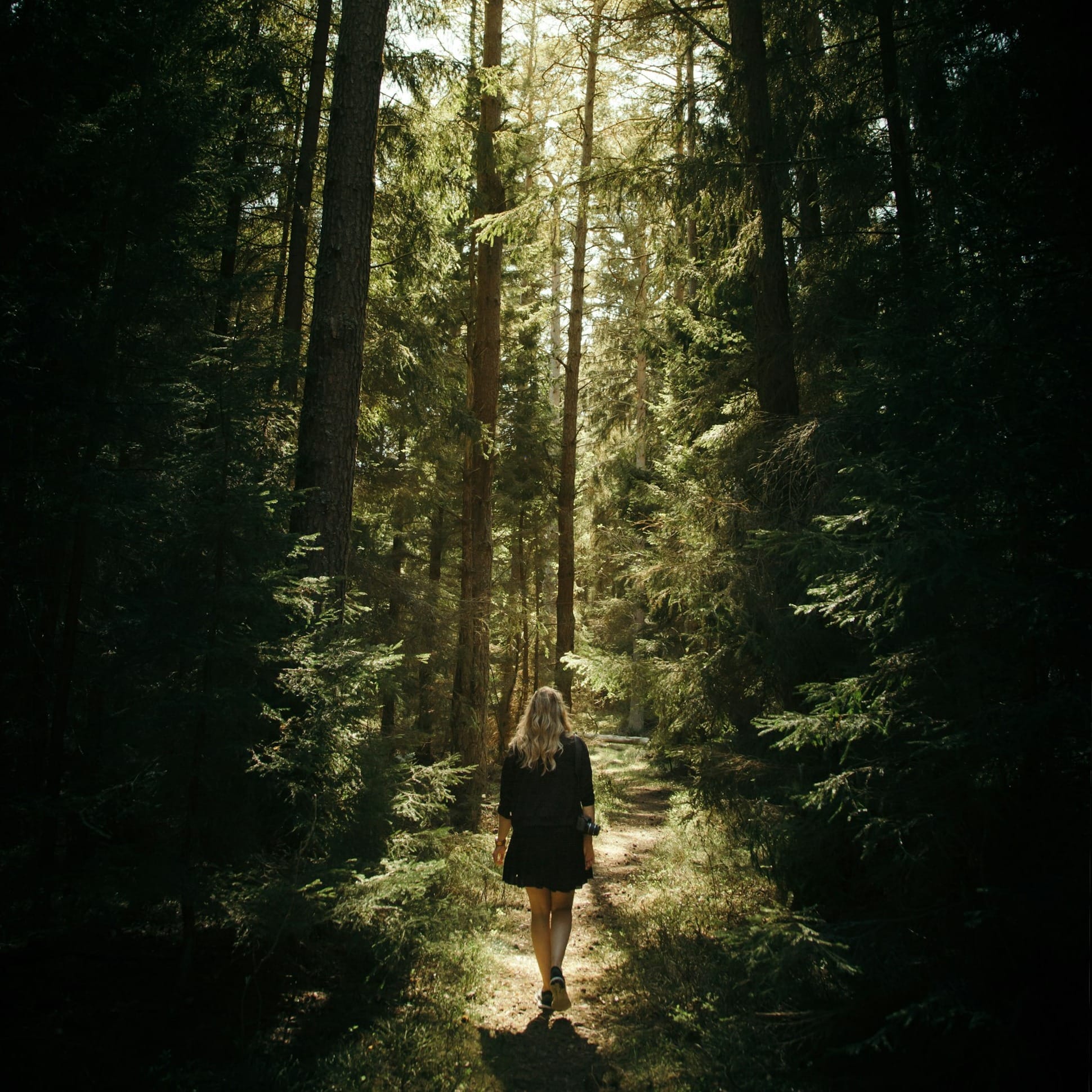 woman walking in the forest